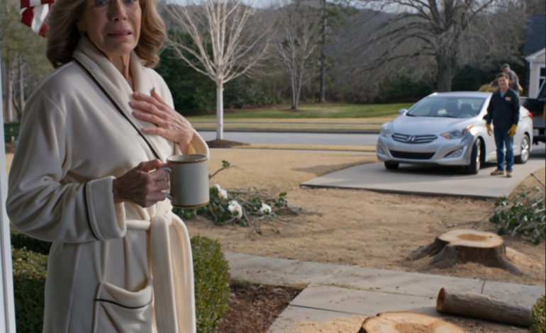 Mijn zoon hakte alle bomen in mijn tuin om om plaats te maken voor de nieuwe zilveren auto die ik had betaald, en terwijl hij glimlachend op mijn oprit stond alsof hij mijn leven zojuist had verbeterd, stond ik in mijn pantoffels naar de boomstronk te staren die mijn man een halve eeuw geleden had geplant en besefte ik dat ik eindelijk klaar was met ruimte voor hem te maken.