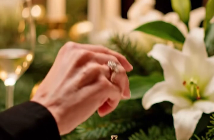 Tijdens het kerstdiner in Stowe luidde mijn schoondochter mijn kristallen bel, glimlachte naar een zaal vol personeel, partners en vaste gasten, en bedankte vervolgens iedereen voor het warme welkom als “de nieuwe mevrouw Merritt House”, terwijl ik nog steeds aan het hoofd van de tafel zat. De hele zaal applaudisseerde. Ik glimlachte ook. Want op dat precieze moment begreep ik dat iemand het feit dat ze deel mochten uitmaken van mijn nalatenschap… verwarde met het recht om die nalatenschap af te pakken.