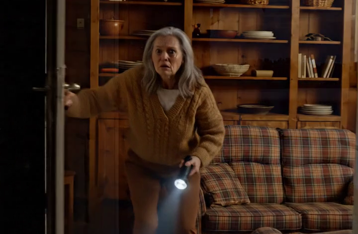 My ex-husband walked out of divorce court with the house, both cars, the retirement fund, and every room I had painted by hand, and the only thing the judge left me was my grandfather’s old cabin by the lake—a place my ex used to laugh at until I broke the rusted padlock, stepped inside with two suitcases, and found my full name taped behind a painting nobody in my family had ever thought was worth looking at twice.